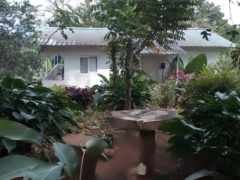 Casa De Andrea Villa Santo António Eksteriør bilde