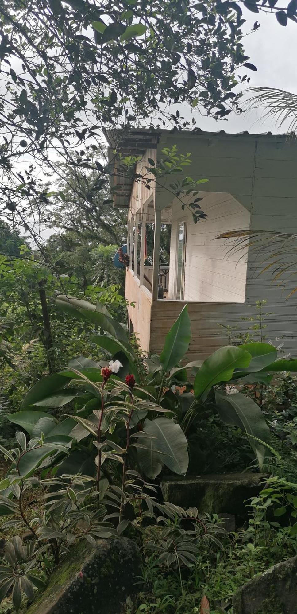Casa De Andrea Villa Santo António Eksteriør bilde
